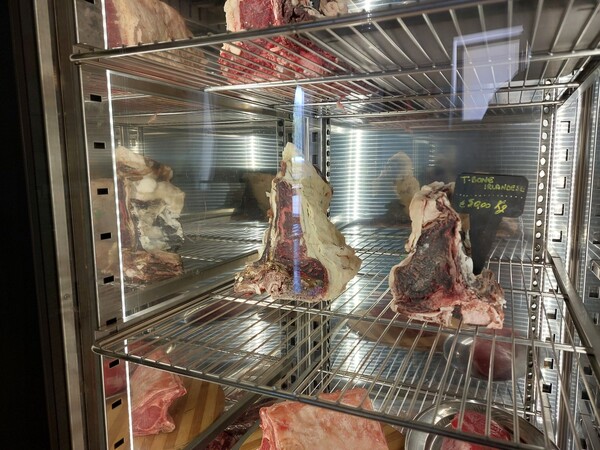 1#8419 Armadio frollatura carni MEATICO in vendita - foto 4