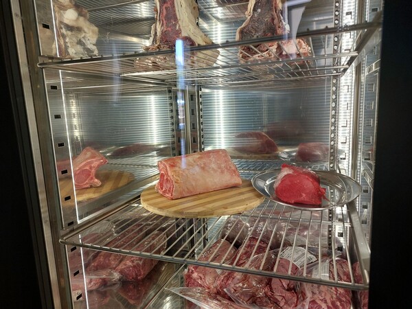 1#8419 Armadio frollatura carni MEATICO in vendita - foto 5