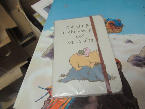 1#8431 Libri ed oggettistica per bambini ragazzi e adulti in vendita - foto 23