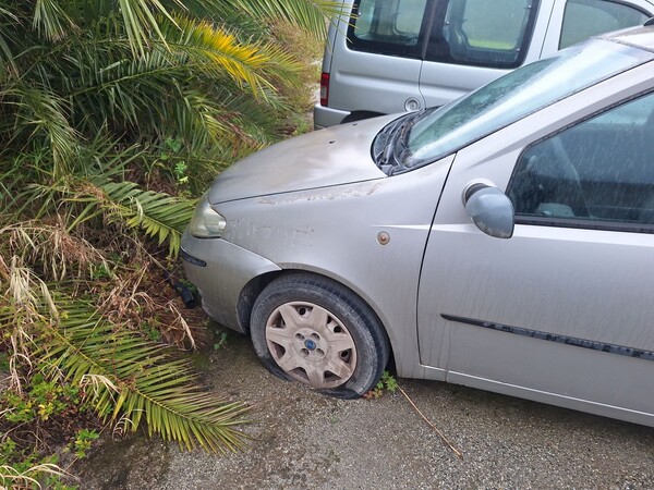 1#8445 Autovettura Fiat Punto in vendita - foto 4