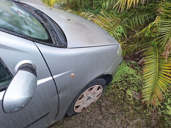 1#8445 Autovettura Fiat Punto in vendita - foto 6