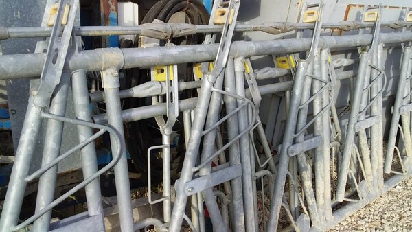 2#8446 Cancello di ferma per mungitura bovini ovini caprini in vendita - foto 2