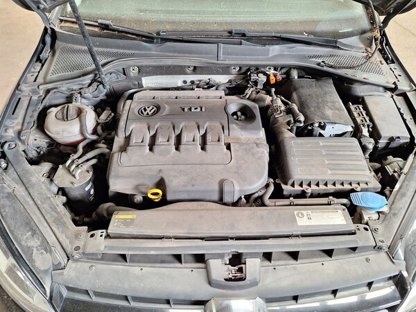 4#8464 Autoveicolo Volkswagen Golf in vendita - foto 18
