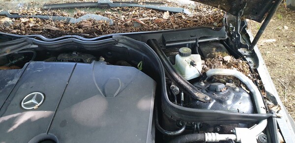 3#8467 Mercedes C250 in vendita - foto 14