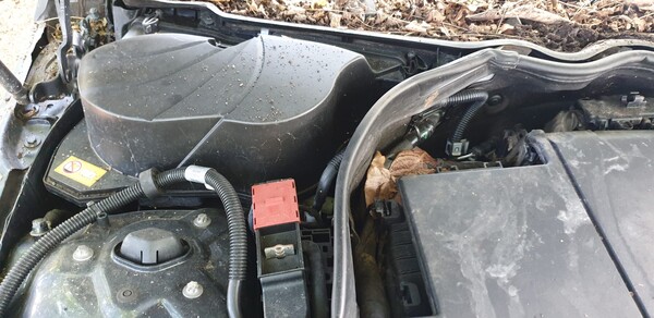3#8467 Mercedes C250 in vendita - foto 16