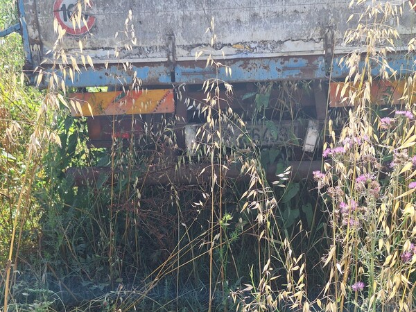 4#8491 Autocarro Fiat Iveco in vendita - foto 2