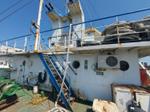 Immagine 5 - Motonave Adriatico - Lotto 1 (Asta 8547)