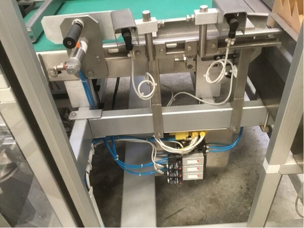 81#8549 Incartonatrice per bottiglie FP Machinery in vendita - foto 13