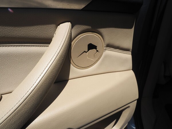 44#8559 BMW X5 in vendita - foto 13