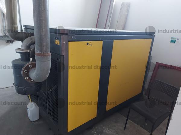 1#8573 Cessione ramo aziendale settore pastificio Domenico Paone srl in vendita - foto 29