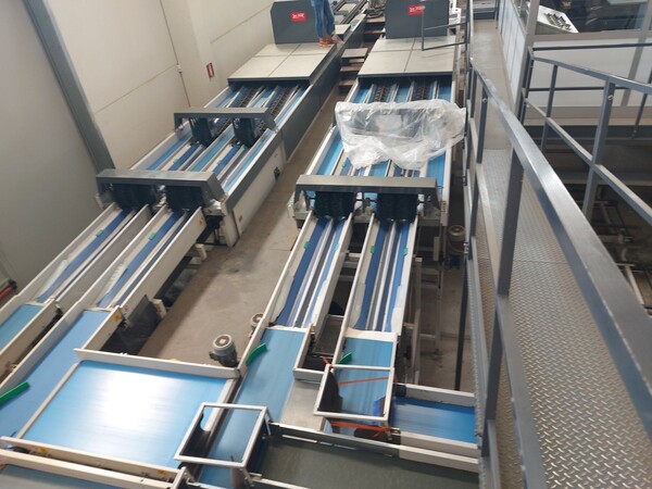 1#8582 Linea completa Lavorazione frutta in vendita - foto 32