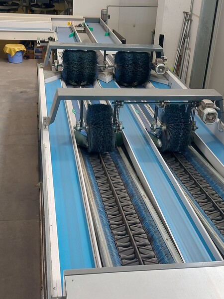 1#8582 Linea completa Lavorazione frutta in vendita - foto 34