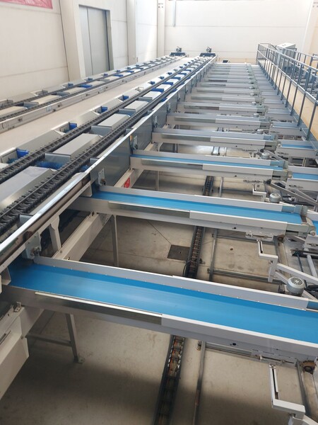1#8582 Linea completa Lavorazione frutta in vendita - foto 38