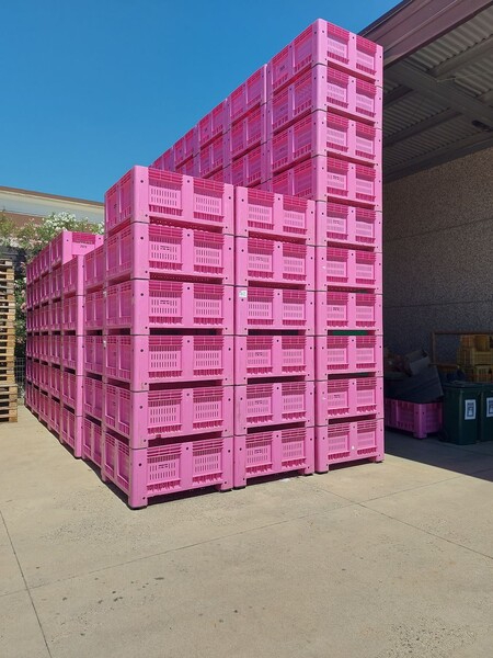7#8586 Bins per ortofrutta in vendita - foto 2