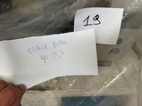 19#8655 Stampo a catena Nuova Euromec in vendita - foto 6