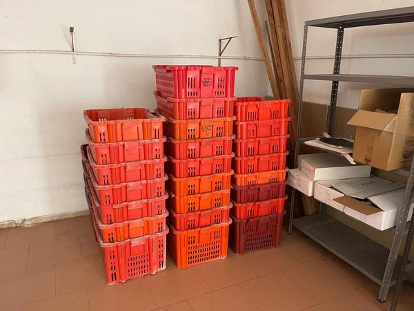 2#8664 Forni professionali in vendita - foto 5