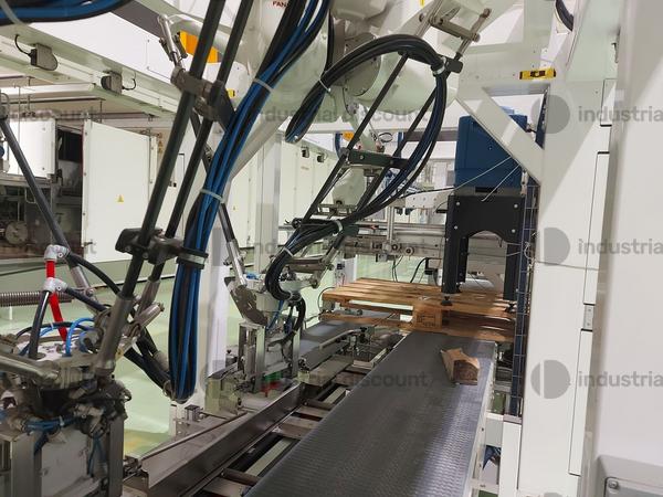 1#8719 Linee incartonamento e pallettizzazione pasta lunga e corta in vendita - foto 6