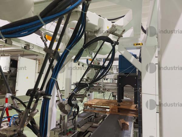 1#8719 Linee incartonamento e pallettizzazione pasta lunga e corta in vendita - foto 7