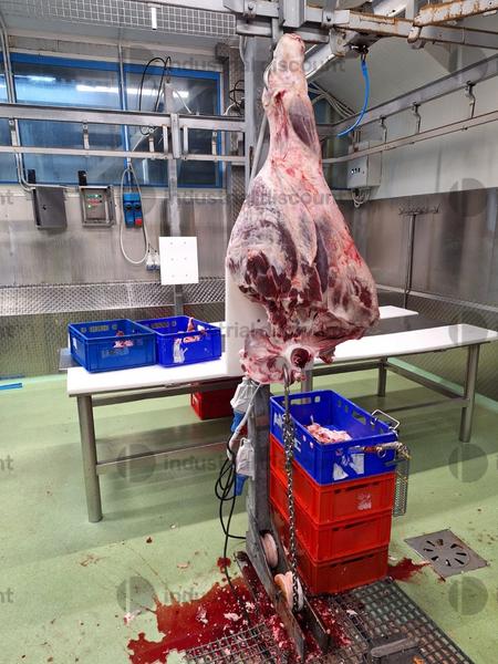 1#8737 Linea carne sottovuoto in vendita - foto 46