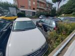 Immagine 16 - Autovetture Mercedes Renault e altre marche - Lotto 1 (Asta 8745)