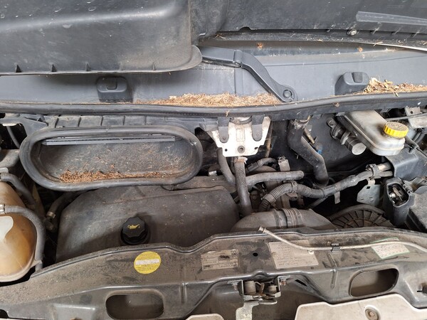 2#8772 Furgone Fiat Ducato cassonato in vendita - foto 11