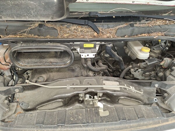 3#8772 Furgone Peugeot Boxer cassonato in vendita - foto 2