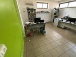 Immagine 13 - Arredi e Accessori - Lotto 63 (Asta 8816)