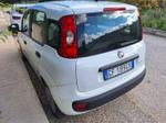 Immagine 4 - Autovettura Fiat Panda - Lotto 1 (Asta 8838)