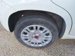 Immagine 8 - Autovettura Fiat Panda - Lotto 1 (Asta 8838)