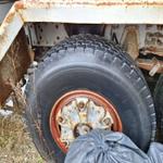 Immagine 8 - Autocarro Man 19.361 - Lotto 3 (Asta 8848)