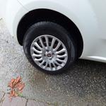 Immagine 7 - Autocarro Fiat Punto Van - Lotto 8 (Asta 8848)
