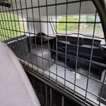 Immagine 13 - Autocarro Fiat Punto Van - Lotto 8 (Asta 8848)