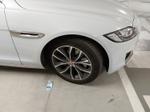 Immagine 3 - Autovettura Jaguar XF - Lotto 1 (Asta 8907)