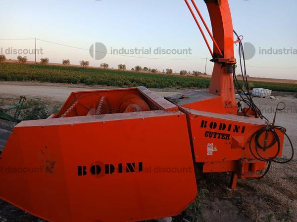 1#8913 Raccoglitore Bodini in vendita - foto 4