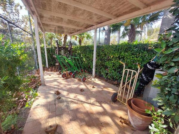 13#8949 Arredi e attrezzature per giardinaggio in vendita - foto 4