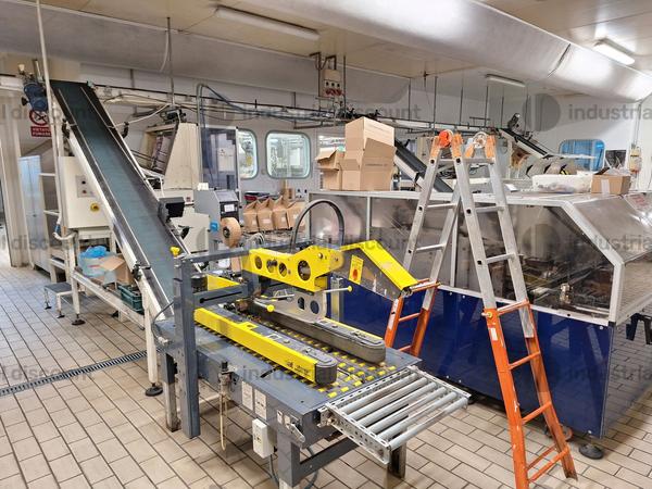 1#8957 Cessione d'azienda dedita alla produzione e commercio ghiaccioli e gelati in vendita - foto 97