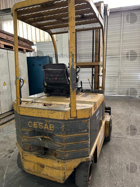 8#8965 Muletto Cesab in vendita - foto 3