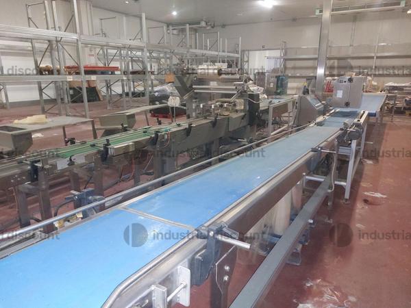 1#9025 Linea di lavorazione frutta in vendita - foto 3