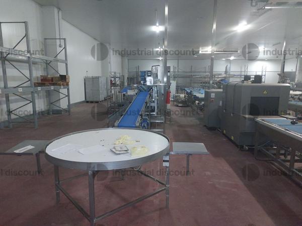 1#9025 Linea di lavorazione frutta in vendita - foto 9