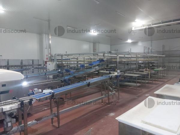 1#9025 Linea di lavorazione frutta in vendita - foto 13