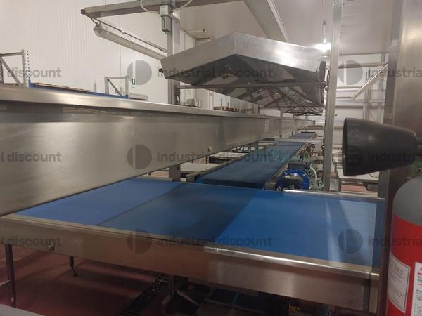 1#9025 Linea di lavorazione frutta in vendita - foto 17