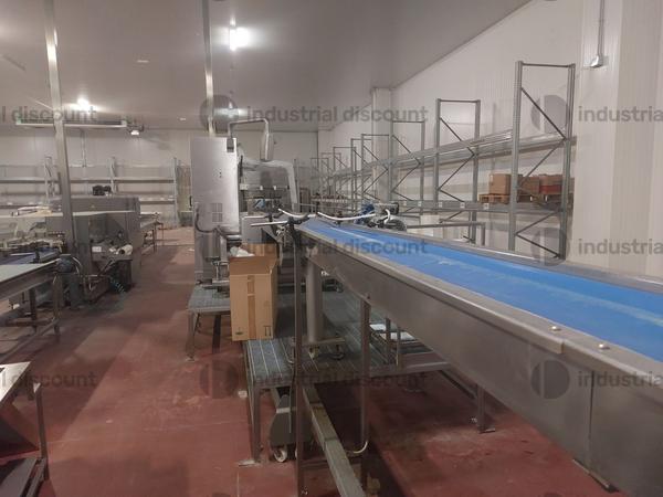 1#9025 Linea di lavorazione frutta in vendita - foto 31