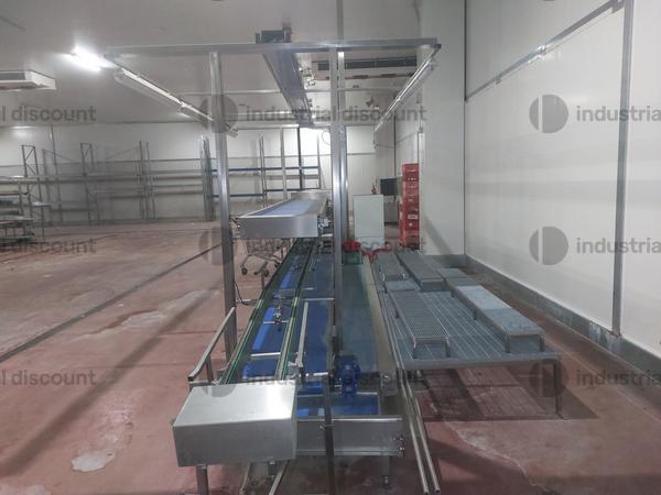 1#9025 Linea di lavorazione frutta in vendita - foto 34