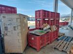 Immagine 5 - Bins - Lotto 48 (Asta 9027)