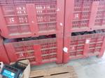 Immagine 6 - Bins - Lotto 48 (Asta 9027)