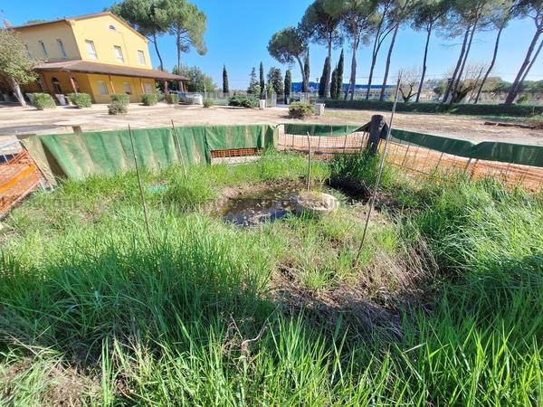 1#9034 Cessione di centro termale “Terme dell’Aspio” in vendita - foto 55