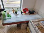 Image 11 - Equipment and furnishings for fruit and vegetable shop - Lot 1 (Auction 9076)