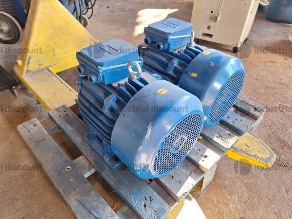 10#9135 Motori trifase Cantoni&Co. in vendita - foto 2