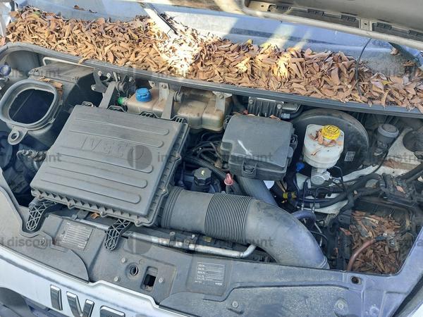 5#9138 Autocarro Iveco Daily in vendita - foto 14