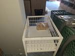 Image 28 - Supermarket Equipment - Lot 1 (Auction 9184)